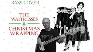The Waitresses / Tracy Wormworth : 