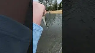 Catching a lot of bass