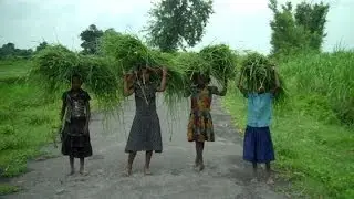 Education scenario in Bihar: A mockery of RTE