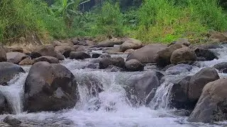 Quiet River at Night &ndash; Moonlit Water Flow Ambience for Comforting Deep Sleep