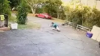 Man Attacked By Duck