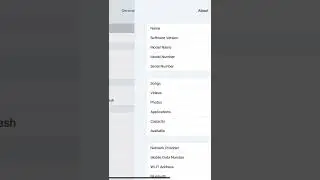 How to find the IMEI number on iPad