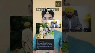 Punjab farmers throws capsicum on roads, offered ₹1/kg , bhagwant man..