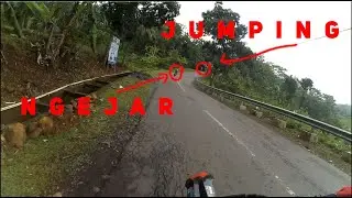 Tamilung 212 | Tomy MJ 44 | Bujal Buana | Start Trail Adventure Menuju Sawah 70