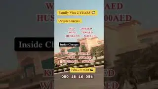2 year visa #automobile #b1b2visa #dubaivisa #money #sidehustle #visaapplication #visarequirements