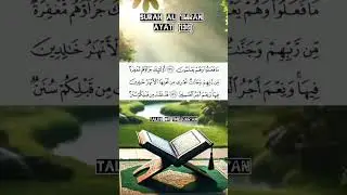 Surah Al 'Imran| ayat 136 #recitationofquran #knowledgeofislam