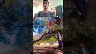 m&eacute;o hiểu kiểu g&igrave; #song #coversong #singer #singersongwriter #music #trump #usa #fyp #funny