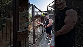 RESPECT MONSTER BODYBUILDER X LIGER 🥶 Fabio Giga #viralvideo