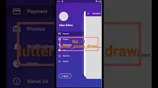 Top 5 Flutter packages must know 