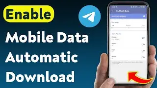 How to Enable Automatic Download While Using Mobile Data On Telegram (Updated)