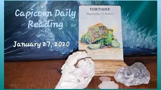 January 27, 2020 - Daily Capricorn Reading - Daily Spirit Animal - Power Animal
