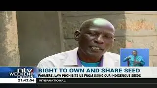 NTV Feature_ IN SEED WE TRUST