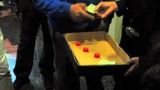 Shell Game Scam on Hollywood Blvd.