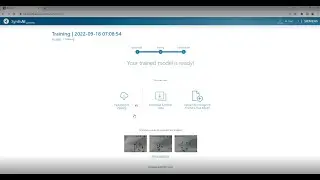 SynthAI Demo #3: Synthetic data model testing and evaluation