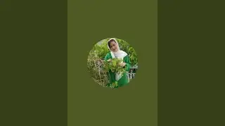 فاطمه میدیا سلام دوستان عزیز خوش آمدید به لایو امشب ما با لایک و سبسکرایب تان مارا خوشحال کنید