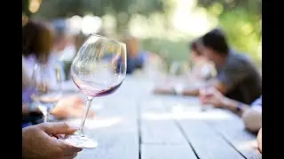 Element79 Vineyards: Experience the Best Wines our Region Offers | Tatiana Bedoya Realtor