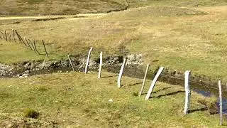 Laguna de Chinchaycocha en el anexo de La Libertad, Distrito de Huacrachuco