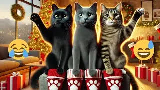Funny Cats Compilation (Most Popular) Part 3🥰#CatsAreAwesome #CatHumor #FelineComedy #FunnyAnimals