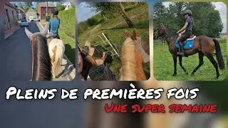 WEEKLY VLOG : Première semaine avec ma nouvelle jument⁉️