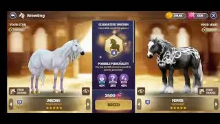 Star Equestrian: Wind Taker let's do a quick breeding with our horses