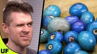 Редкий бирюзовый фрукт! Дегустация фарфоровых ягод | Необычные продукты