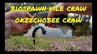 Trying the BioSpawn 4