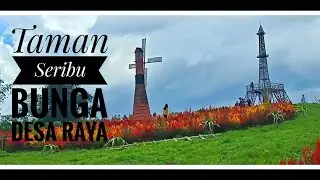 Taman Seribu Bunga Raya || Desa Raya Kabupaten Karo