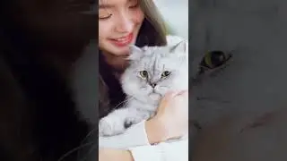 Why Your Cat Brings You 'Gifts'