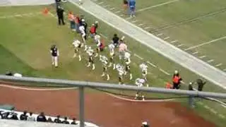 Oakland Raiderettes