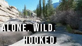 Tarryall Creek Fishing Explodes! Insane Dry Dropper Action Before Runoff