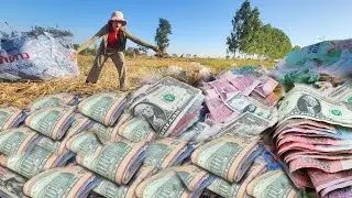 It's amazing, Today I found a lot of money in the old bag 😱😱2000$$$