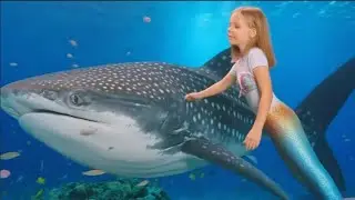 EPIC MERMAID ADVENTURE! SWIMMING WITH SHARKS & DOLPHINS! ILYAMOTIV #MERMAID