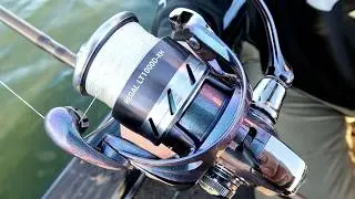 Почему Daiwa Regal LT1000 идеально подходит для ловли краппи