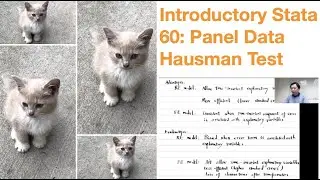 Introductory Stata 60: Panel Data Hausman Test