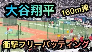 【どこまで飛ばすん？】大谷翔平(Shoei Ohtani)のフリーバッティング練習風景、侍ジャパン、WBC