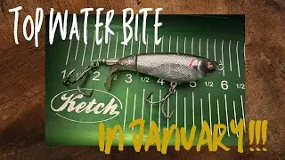 Winter Top Water Bite That Caught Me by Surprise!