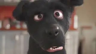 DOGGY Dog &mdash; ваш герой вкуса! 🤙