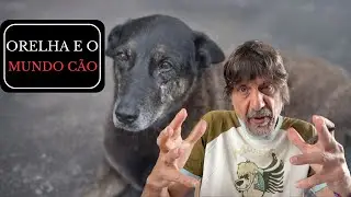 ORELHA E O MUNDO CÃO - Eduardo Bueno