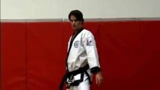 How to Do Blocks in Soo Bahk Do : Doing a High Block in Soo Bahk Do