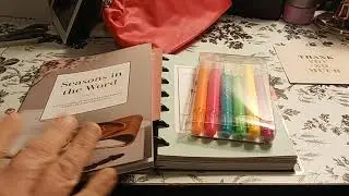 Highlighter Test Swatch & Review / Daily Grace Co. / The Happy Planner Mini