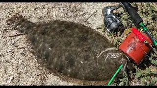 How to Catch FLOUNDER