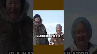 How the Inuit Survive the Harsh Arctic | Amazing Indigenous Life Hacks! #shorts