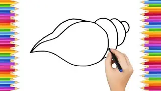 How To Draw cute   Conch shell  Drawing, Painting & Coloring For Kids and Toddlers_ Child Art 🐋🌈🎨