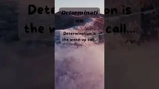 facts about Determination  #facts #determination