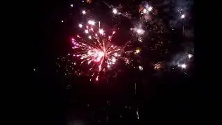 PyroFX Archiv: Silvester 2008/2009 - Weco Aligator feat. Reno