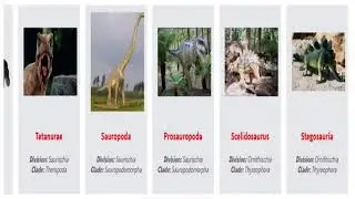 Comparison: Dinosaur Cladogram with images | visual dinosaurs train