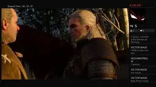 Witcher 3 - with Vectormage