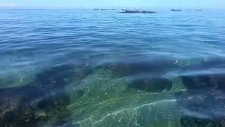 HACHECE +TV y HACHECE - TURISMO NADANDO BAJO EL AGUA EN CALETA BUENA, TOCOPILLA, II REGI&Oacute;N CHILE 11/
