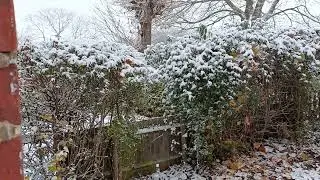 Snowfall #cranfield #university #2022 #accommodation #campus