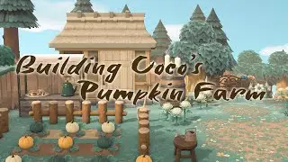 Building Coco A Pumpkin Farm! | Speed Build | Animal Crossing New Horizons